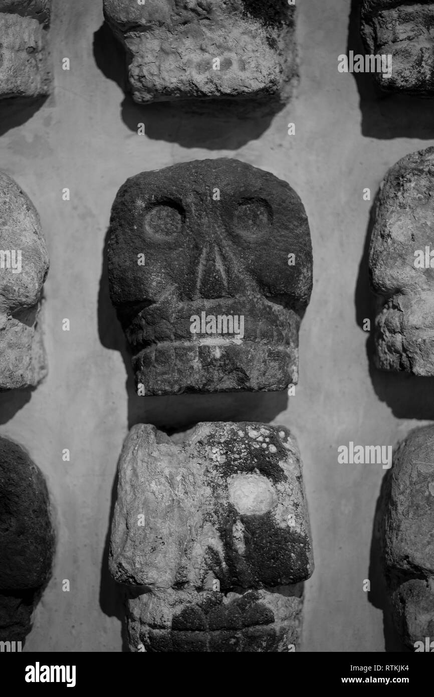 Sculture in pietra di teschi come un muro chiamato Tzompantli situato nella città azteca tenochtitlanana sepolta sotto città del Messico, Messico Foto Stock