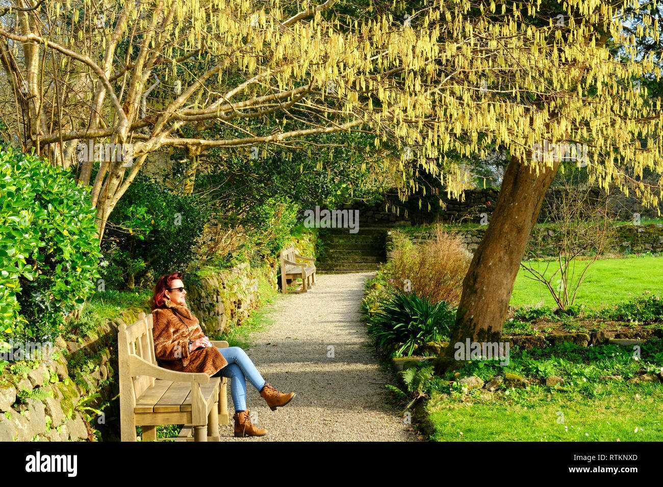 Donna matura seduta, godendo di sole primaverile in un giardino della Cornovaglia - Giovanni Gollop Foto Stock
