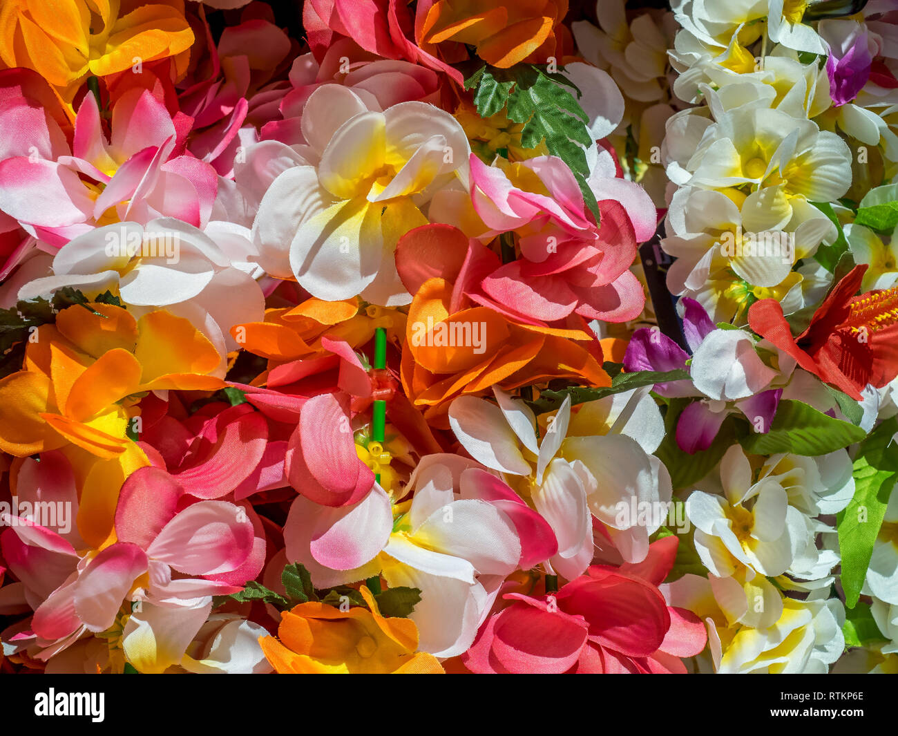 Fiori di lei hawaiana immagini e fotografie stock ad alta risoluzione -  Alamy