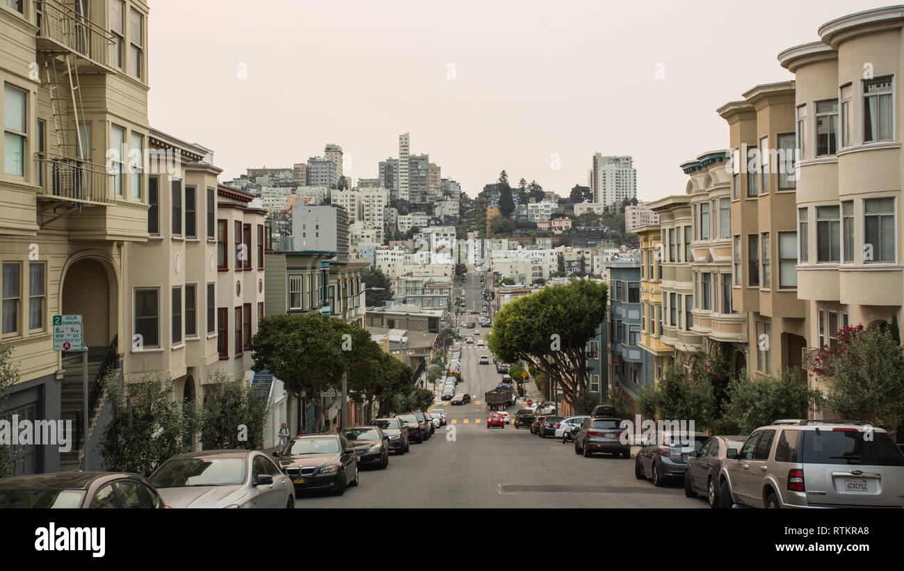 Lombard Street di San Francisco. Foto Stock