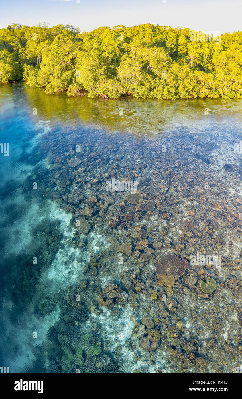 Vista aerea del Raja Ampat isole, Papua occidentale, in Indonesia, Oceano Pacifico Foto Stock