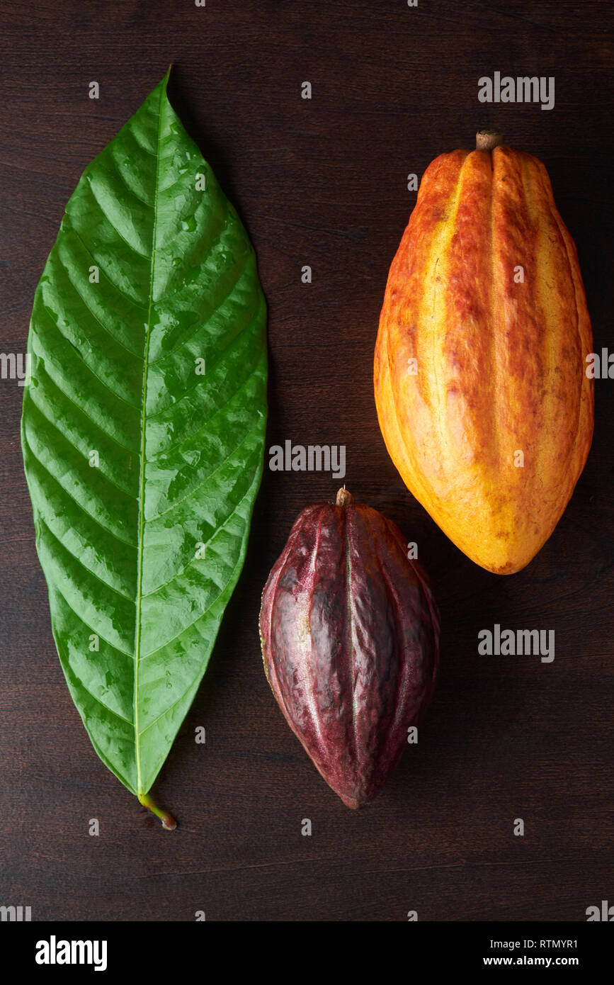 Colorato tema di cacao. Raw piante di cacao frutti sulla scrivania in legno Foto Stock