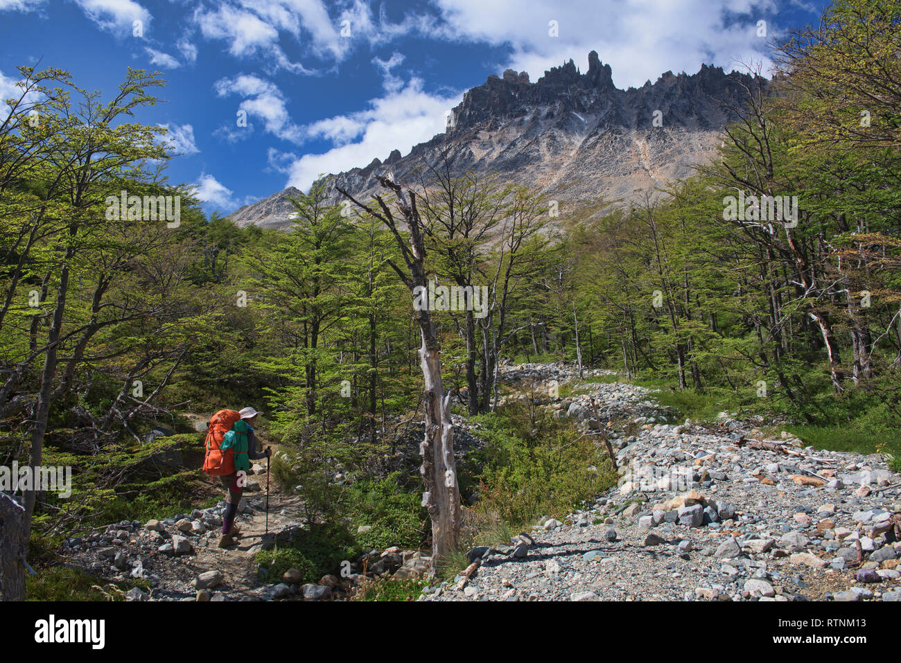 Trekking nel bellissimo Cerro Castillo Riserva, Aysen, Patagonia, Cile Foto Stock