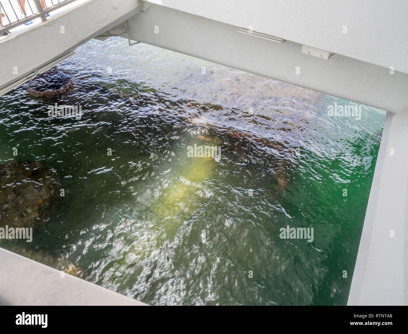 La USS Arizona Memorial il 5 agosto 2016 in Pearl Harbor, Stati Uniti d'America. Memorial segna luogo di riposo di marinai e marines che morì quando la USS Arizona era Foto Stock