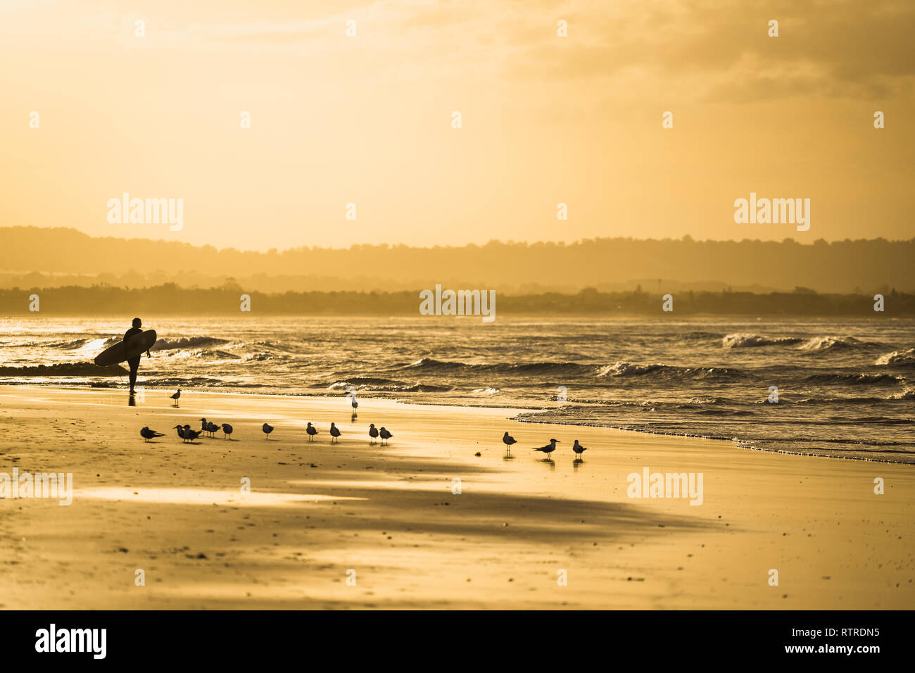 Surfer in Byron Bay Foto Stock