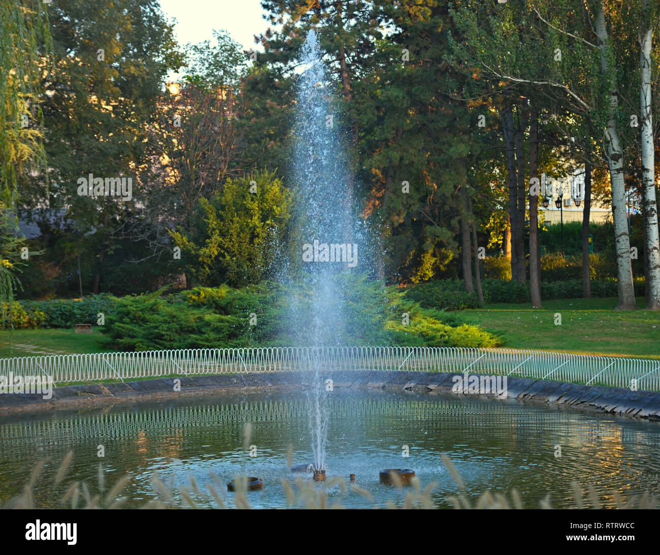 Getto di acqua dalla fontana nel piccolo lago con alberi in background Foto Stock