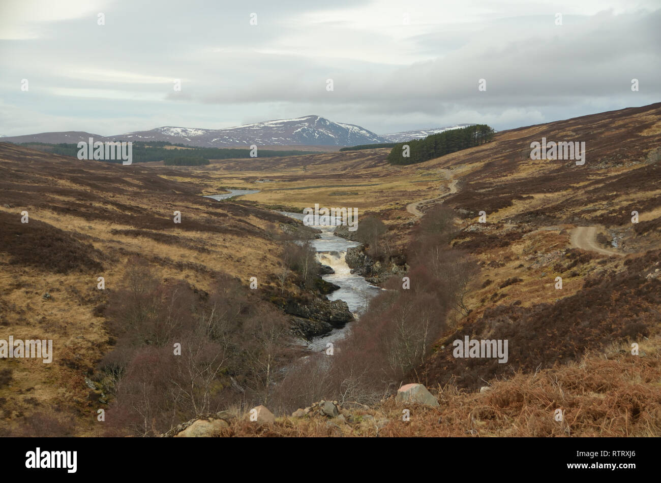 Il fiume Blackwater nella contea di Sutherland, Highlands scozzesi, Gran Bretagna. Foto Stock