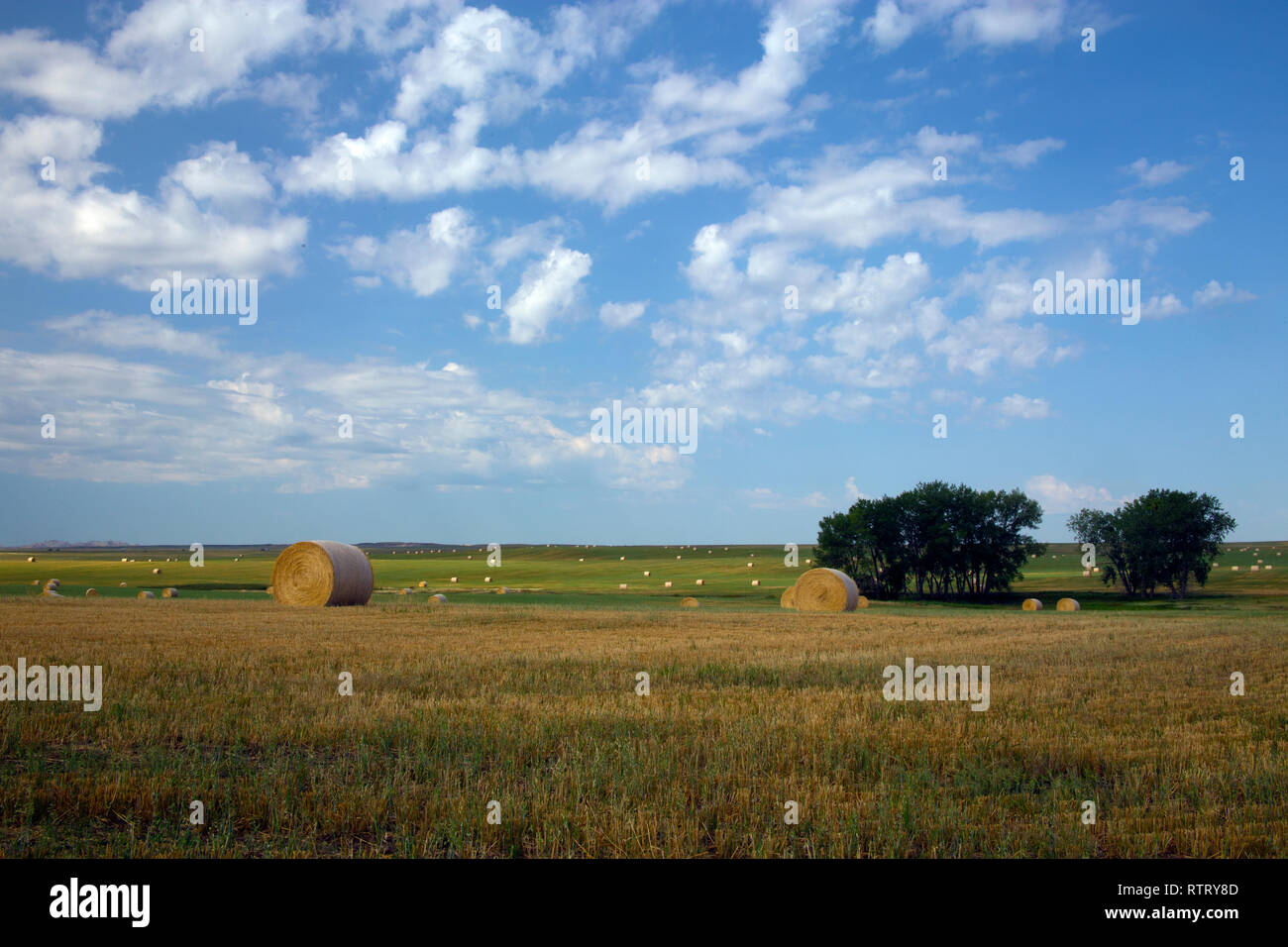 Erodendo le texture del Parco nazionale Badlands South Dakota, Buffalo Gap Praterie Foto Stock Erodendo le texture del Parco nazionale Badlands South Dakota, Buffalo Gap Praterie Foto Stock