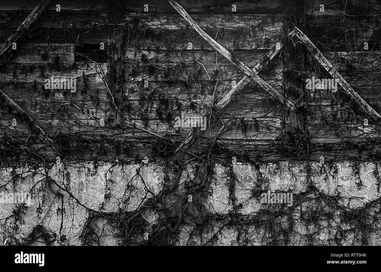 Vecchia struttura coperta con un impianto di tutti su di esso. Foto Stock