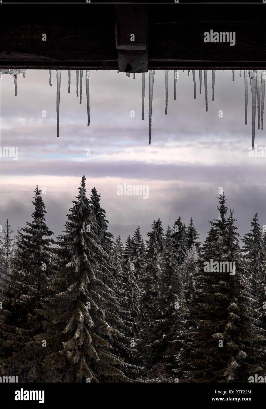 Inverno ghiaccioli su di un telaio di finestra con splendida vista di una foresta di montagna da una stazione sciistica Foto Stock