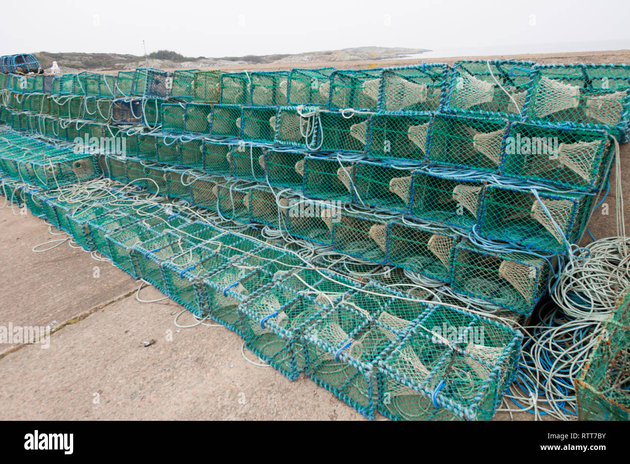 Svezia- Fiching- oceanografia, sodio, cloruro di magnesio, calcio, potassio, salinità, profondità, Foto Stock