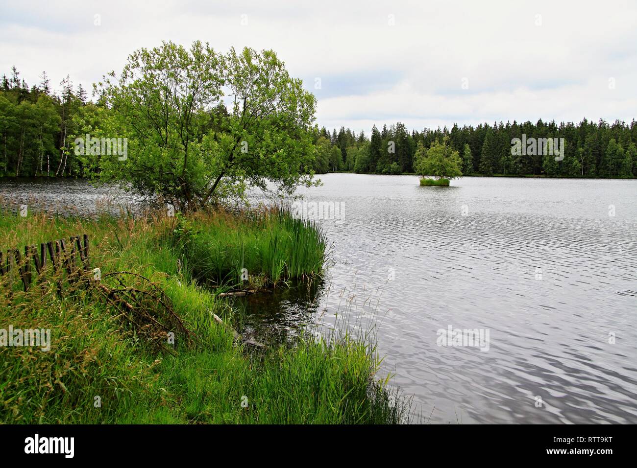 Riserva naturale di Kladska nella Foresta di Slavkov, Regione di Karlovy Vary, Repubblica Ceca Foto Stock