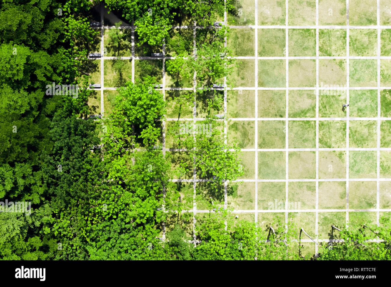 Razionale del paesaggio urbano di Design. Vista superiore della rete regolari nel parco verde di Shenzhen, Cina. Foto Stock
