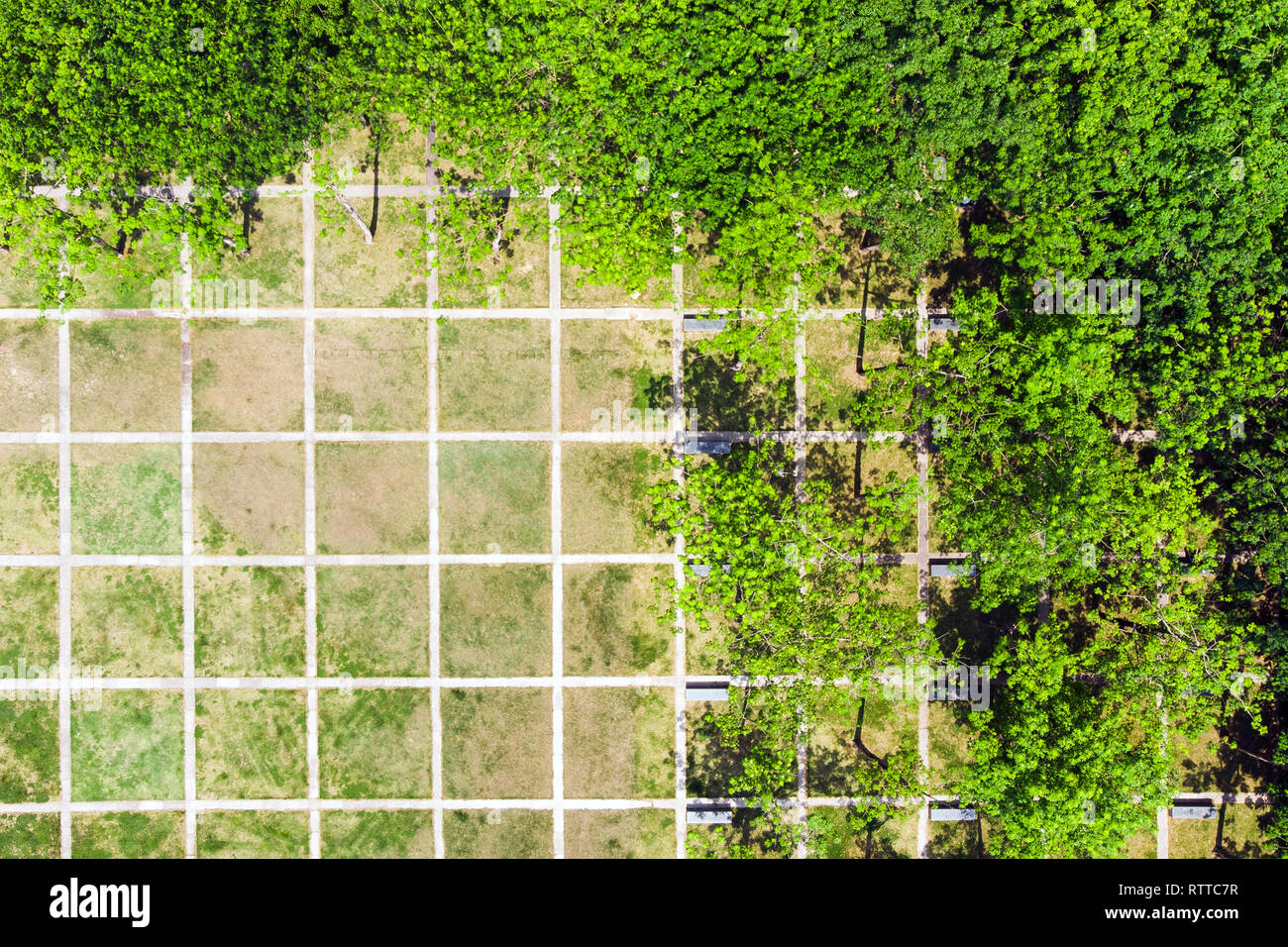 Razionale del paesaggio urbano di Design. Vista superiore della rete regolari nel parco verde di Shenzhen, Cina. Foto Stock