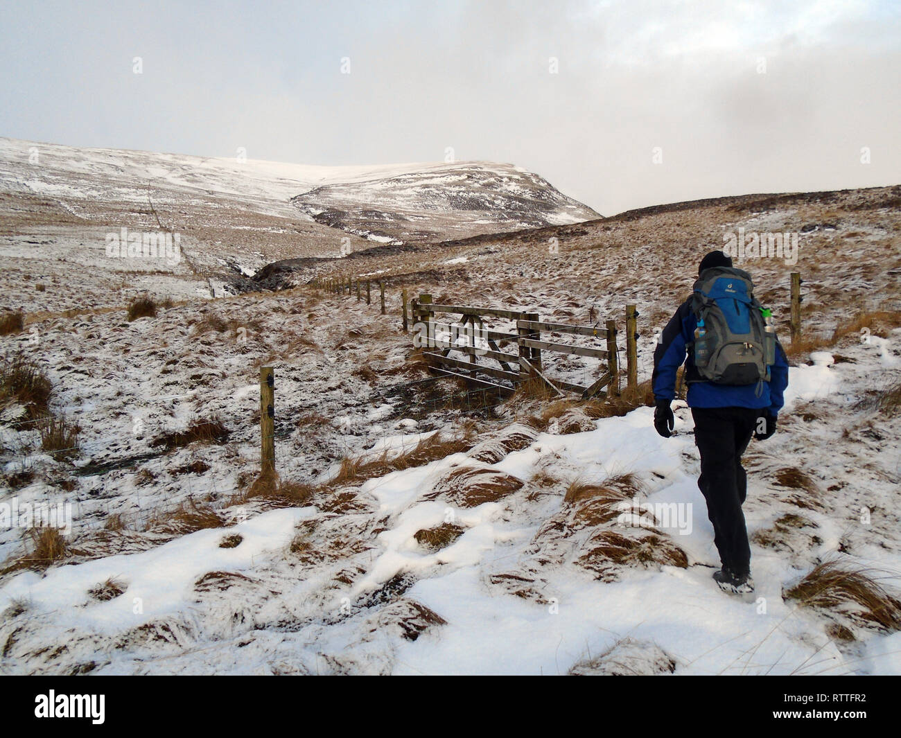 Maschio solitario escursionista a piedi nella neve sul percorso verso la montagna scozzese Corbett Hart cadde, Moffat Dale, Scottish Borders, Scotland, Regno Unito Foto Stock