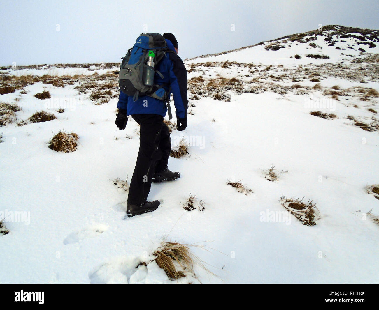 Maschio solitario escursionista a piedi nella neve sul percorso verso la montagna scozzese Corbett Hart cadde, Moffat Dale, Scottish Borders, Scotland, Regno Unito Foto Stock