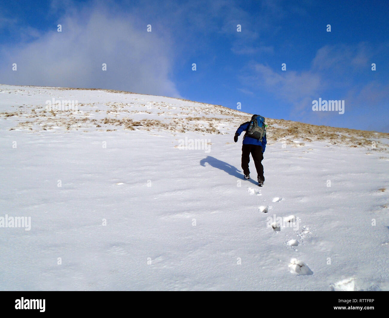 Maschio solitario escursionista a piedi nella neve sul percorso verso la montagna scozzese Corbett Hart cadde, Moffat Dale, Scottish Borders, Scotland, Regno Unito Foto Stock