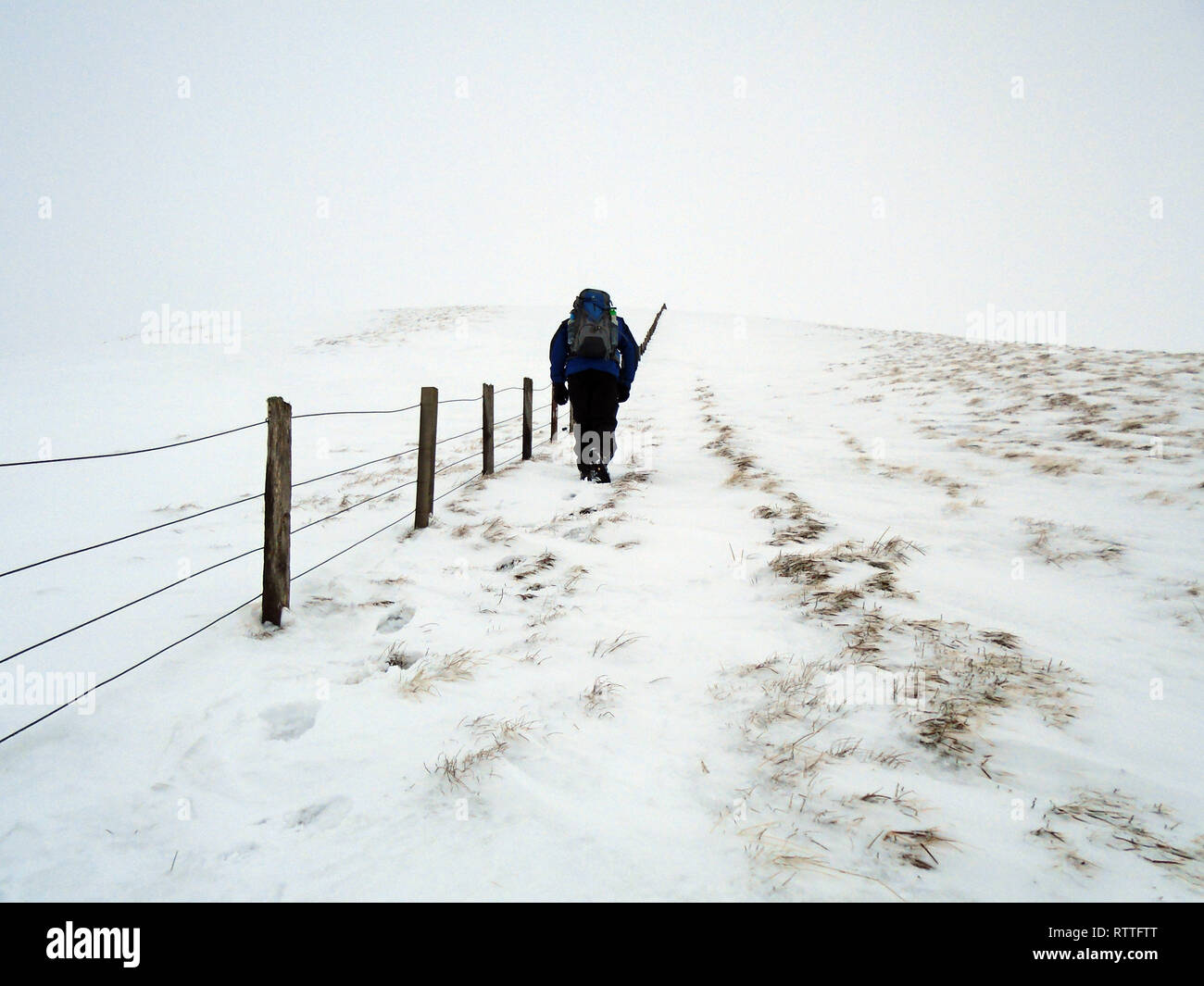 Maschio solitario escursionista a piedi nella neve sul percorso verso la montagna scozzese Corbett Hart cadde, Moffat Dale, Scottish Borders, Scotland, Regno Unito Foto Stock