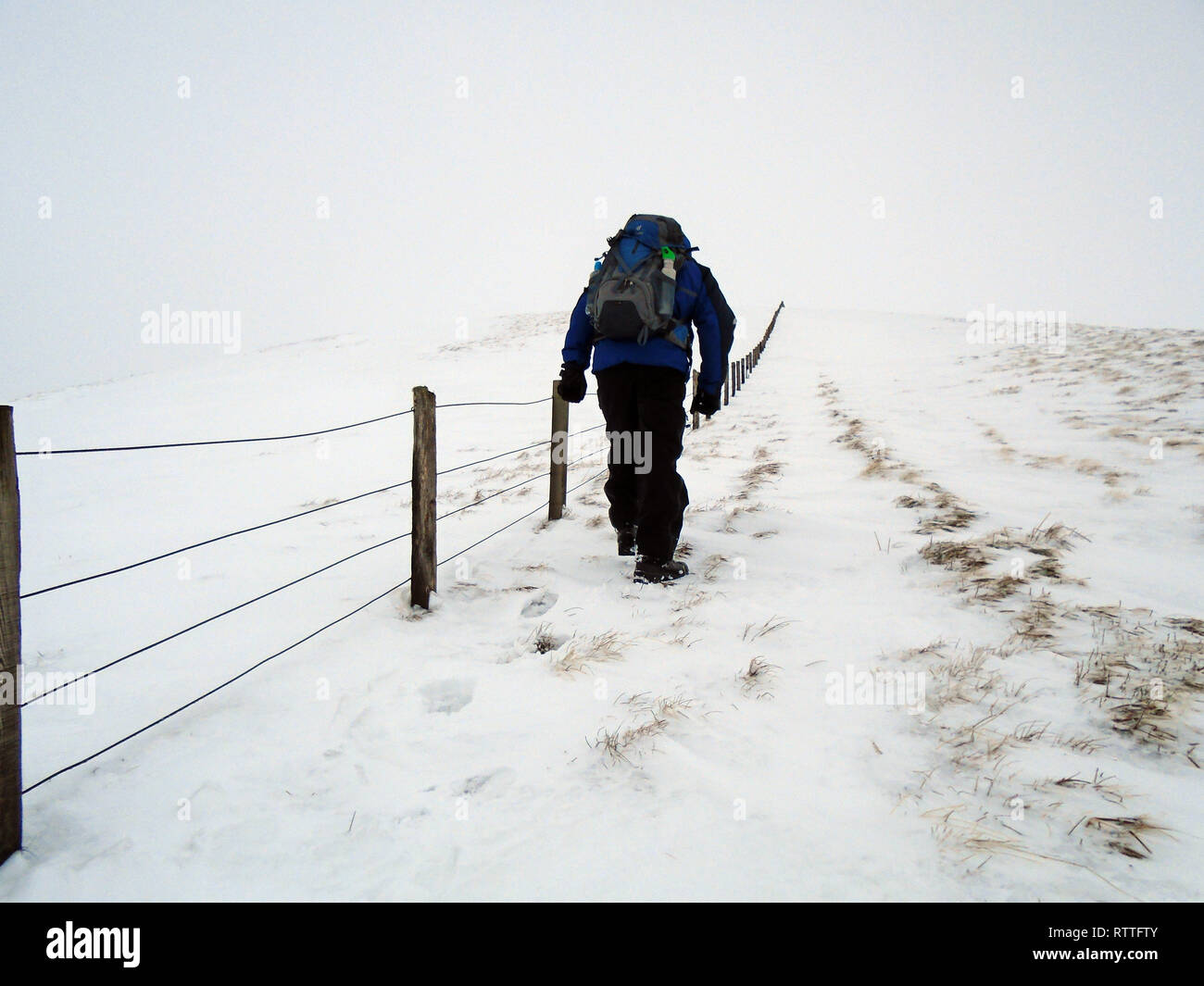 Maschio solitario escursionista a piedi nella neve sul percorso verso la montagna scozzese Corbett Hart cadde, Moffat Dale, Scottish Borders, Scotland, Regno Unito Foto Stock