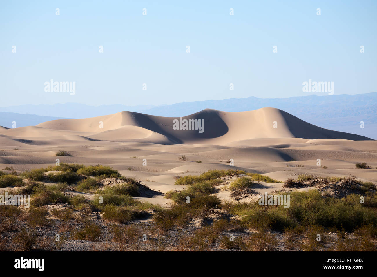 Le dune di sabbia del Deserto Mojave a Mesquite piatto nel Parco Nazionale della Valle della Morte, Inyo County, California, America Foto Stock