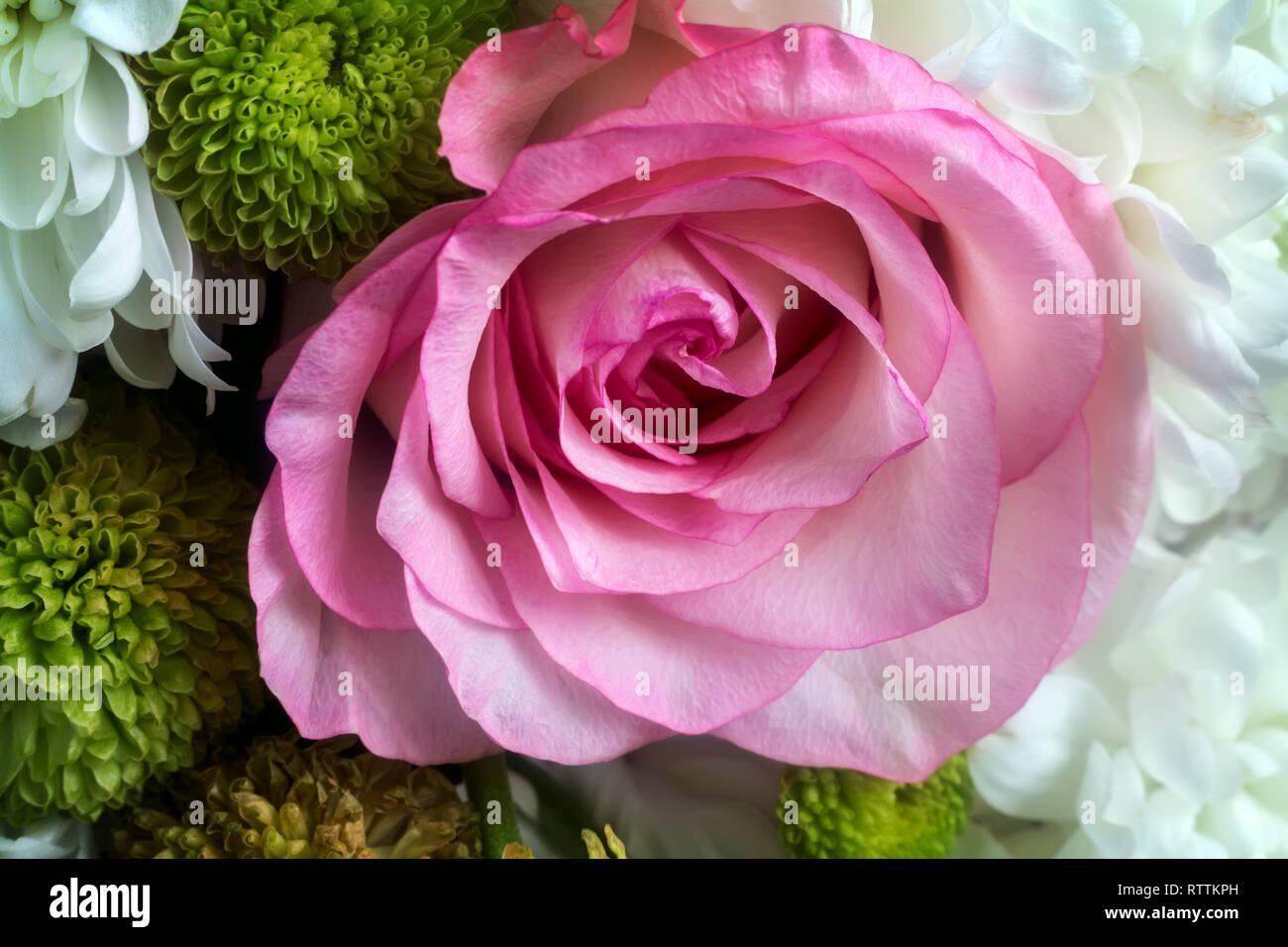 Bella rosa rosa in un mazzo di fiori tra gli altri fiori. Presentato close-up. Foto Stock