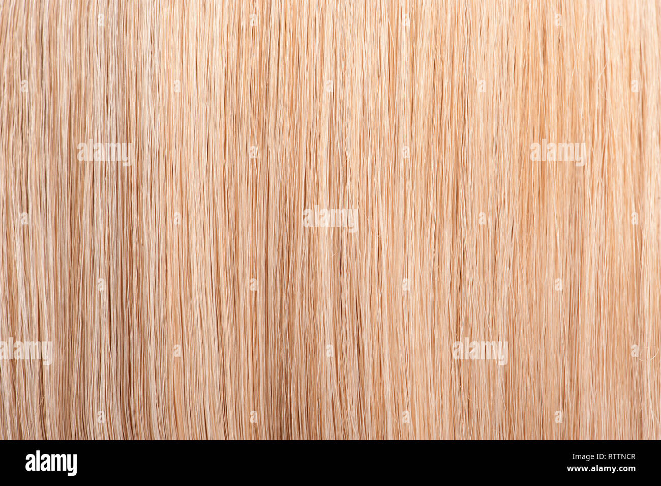 Dritti lunghi capelli biondi sfondo Foto Stock