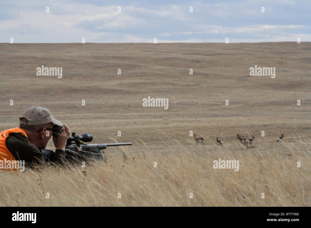 Un cacciatore si prepara per un colpo durante un pronghorn antelope hunt in Wyoming. Foto Stock