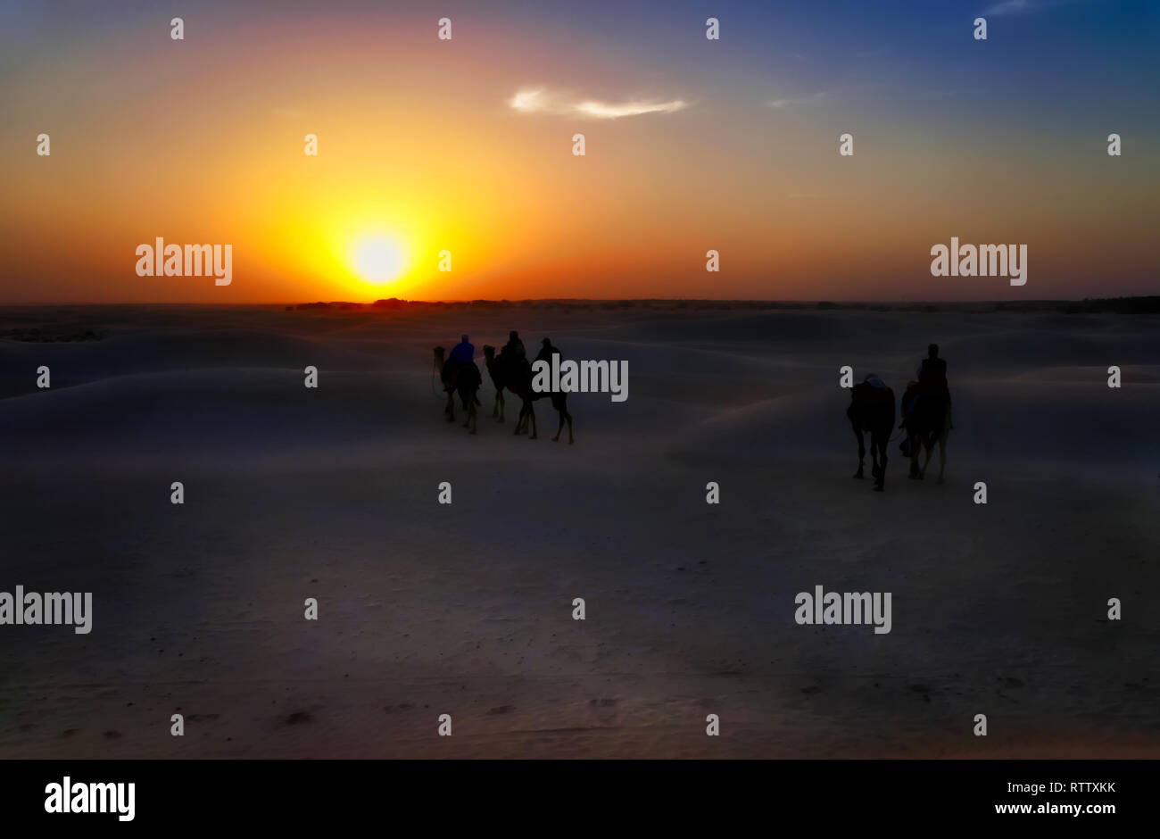 Camel caravan andando attraverso il deserto al tramonto. Foto Stock