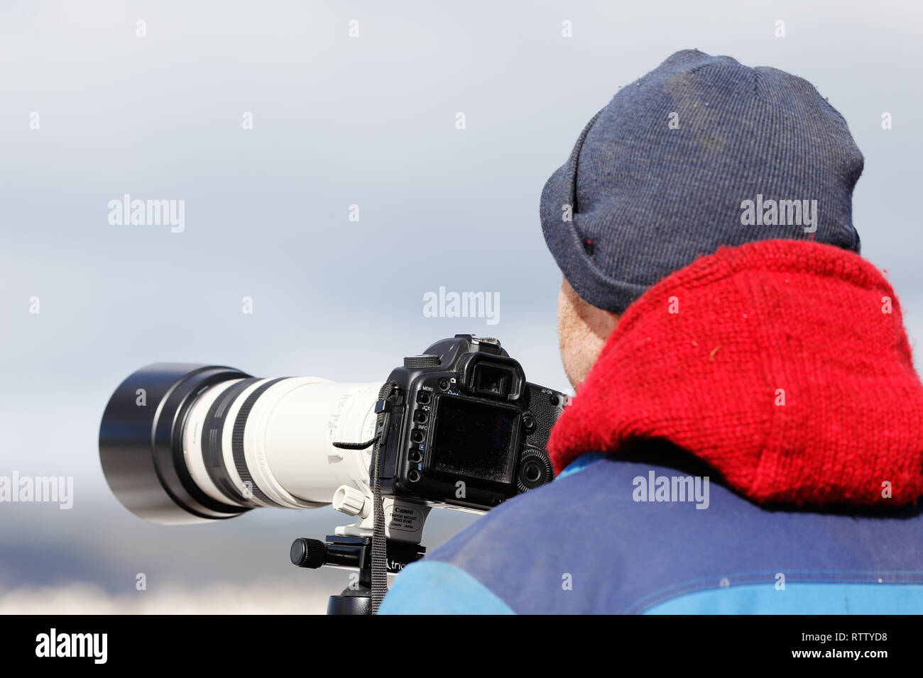 Rannesta, Svezia - 21 Marzo 2015: vista posteriore di un fotografo con un teleobiettivo telecamera montata su un treppiede. Foto Stock