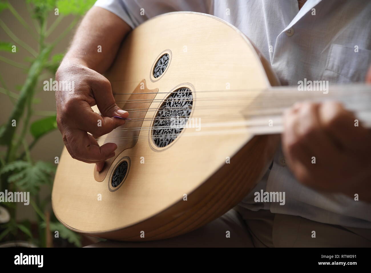 Saz-Turkish strumento musicale Foto Stock