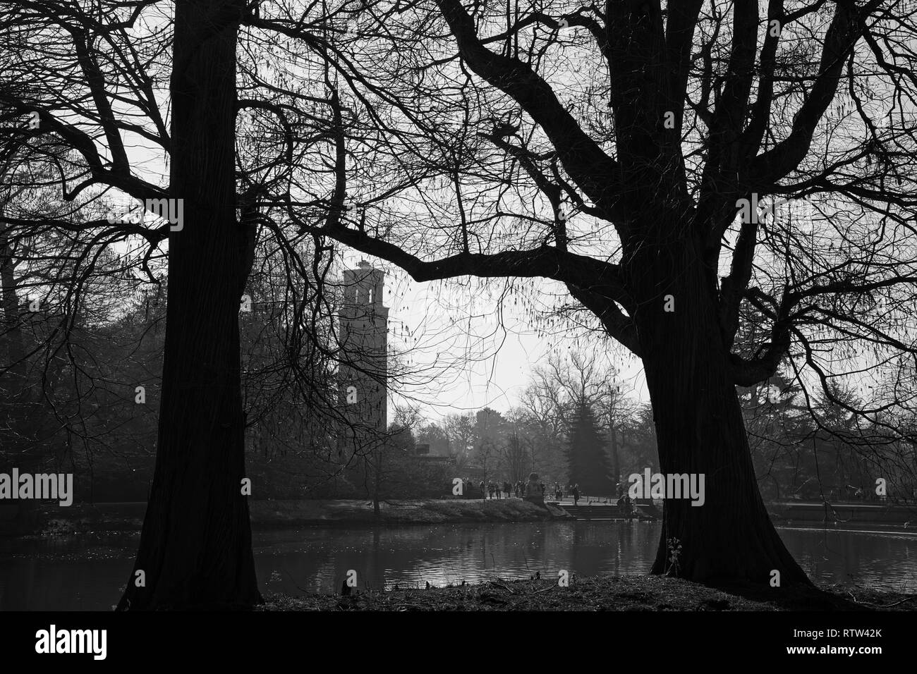 Kew Gardens è un giardino botanico di Londra con i più diversi botanici e collezione micologica stabilito come presto come 1840 Foto Stock