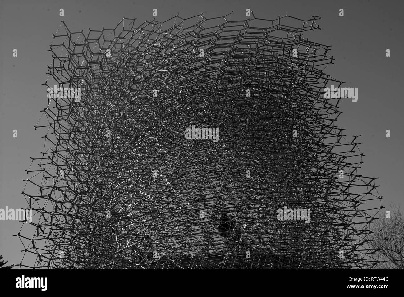 Kew Gardens è un giardino botanico di Londra con i più diversi botanici e collezione micologica stabilito come presto come 1840 Foto Stock