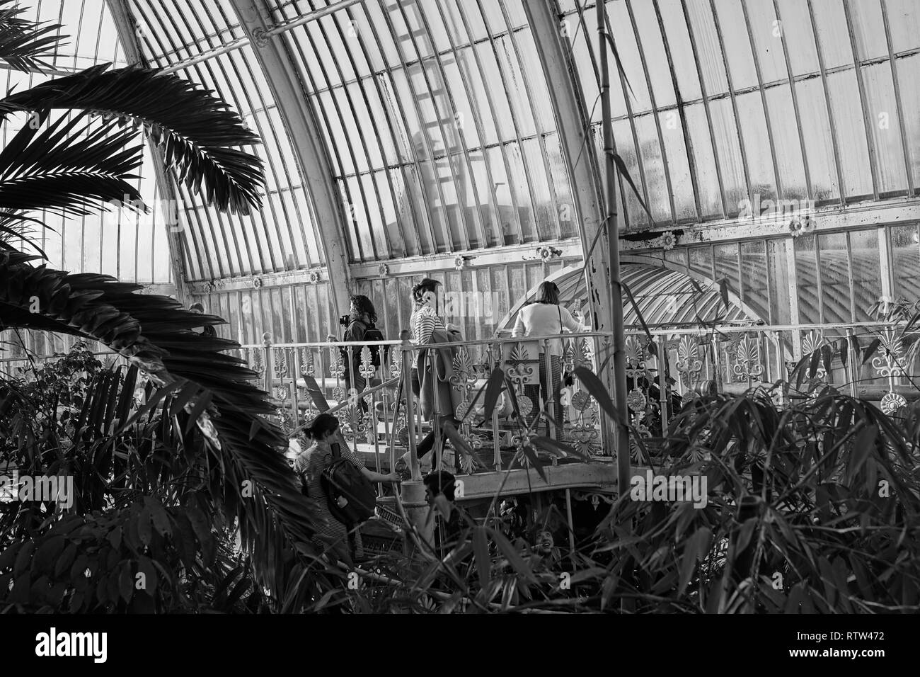 Kew Gardens è un giardino botanico di Londra con i più diversi botanici e collezione micologica stabilito come presto come 1840 Foto Stock