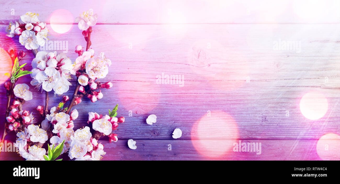 Primavera - Trend Palette colori - Rosa fiore il legno rustico Foto Stock