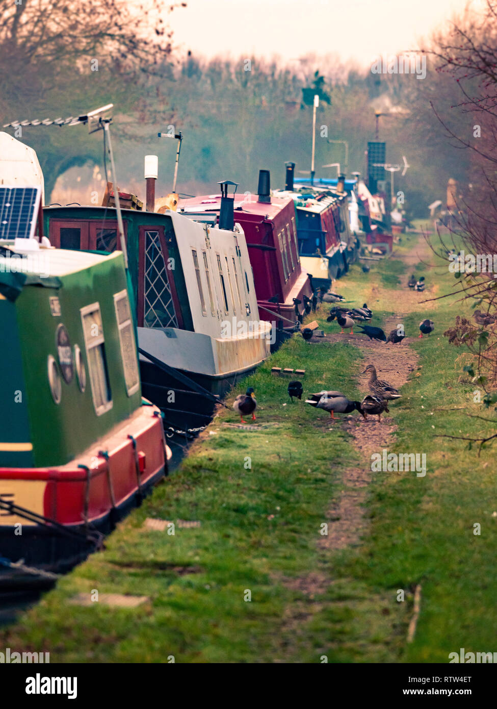 Barche a Trinità Marina, narrowboat terrestre e canal boat marina, Ashby Canal, Hinckley, Leicestershire, Regno Unito. Foto Stock