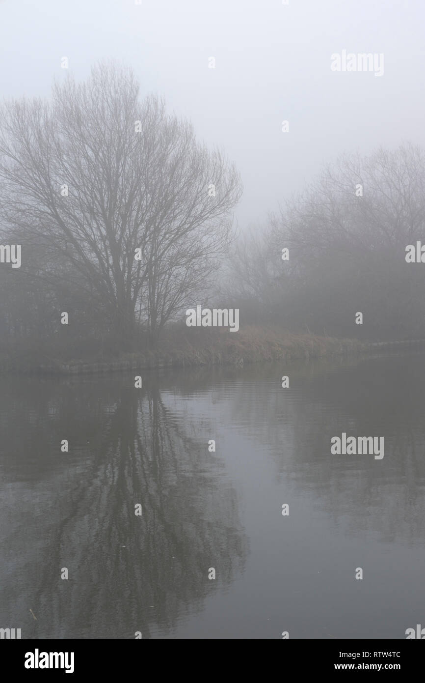 Inverno 2019, Early Morning mist oltre il Grantham a Nottingham canal. Hickling, Melton Mowbray, Regno Unito Foto Stock