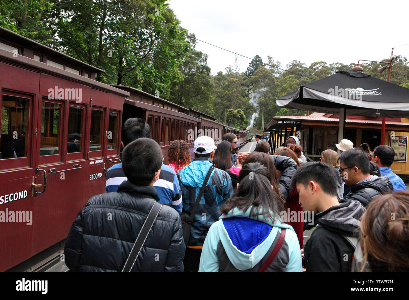 Visitare l'Australia. Scenic e viste di Australia. Treno a Vapore Puffing Billy il Dandenongs, Victoria, Australia Foto Stock