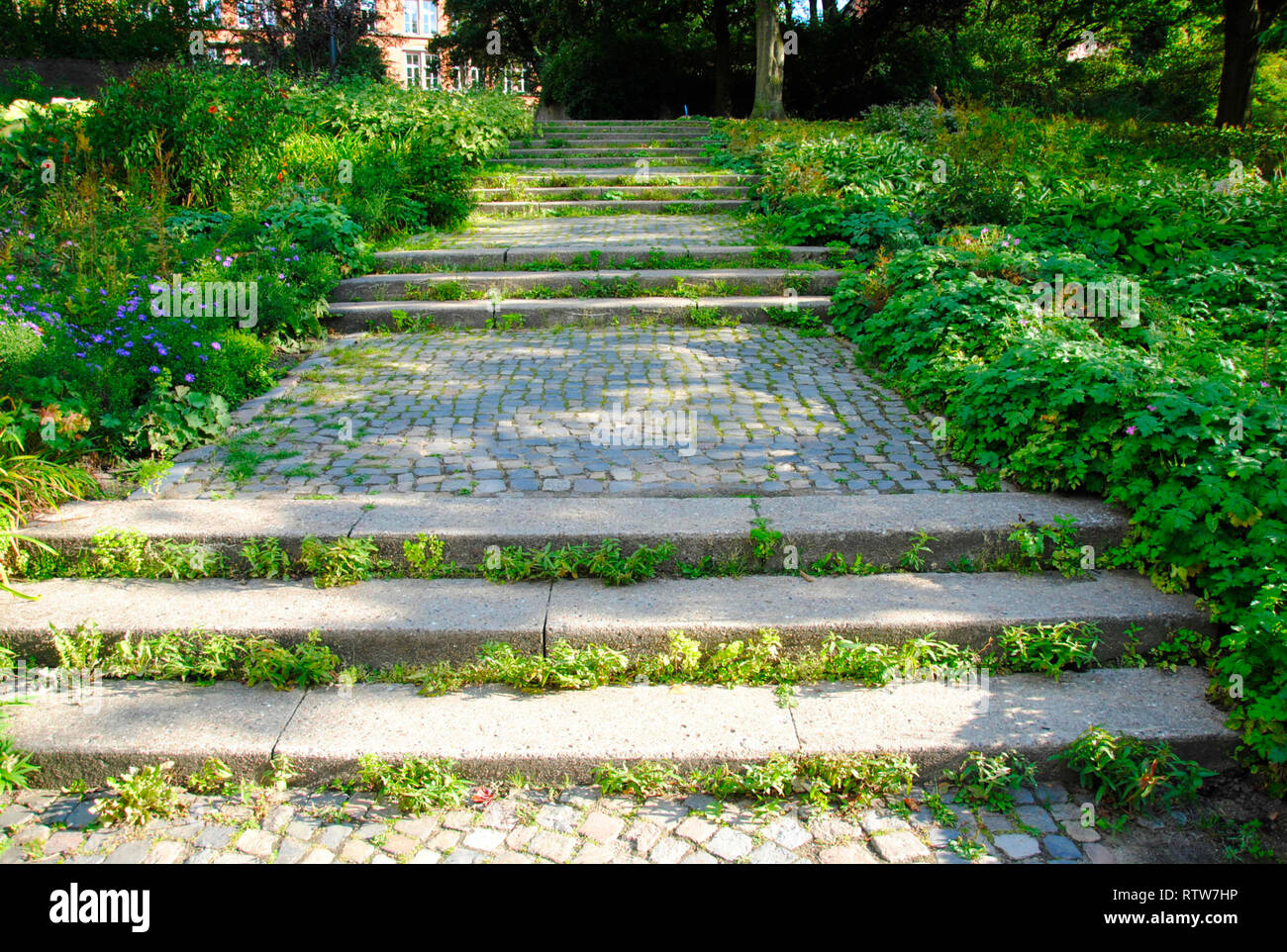 Rocky scalinata tra lotti di vegetazione nel famoso 'parco Planten un Blomen'-park di Amburgo in Germania Foto Stock