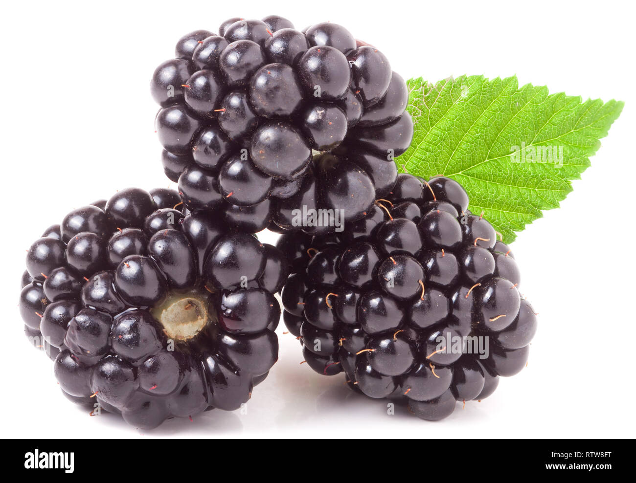 Tre blackberry con foglie isolate su uno sfondo bianco closeup Foto Stock
