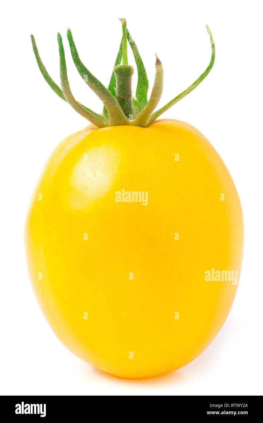 Un pomodoro giallo isolato su sfondo bianco Foto Stock