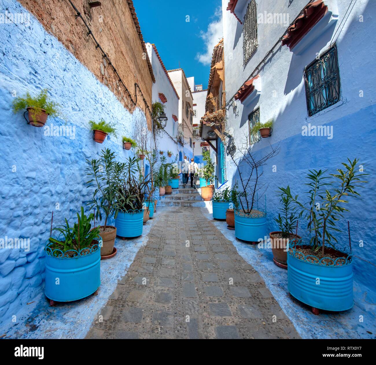 Vicolo stretto con vasi di fiori blu case, medina di Chefchaouen, Chaouen, Tanger-Tétouan, Marocco Foto Stock