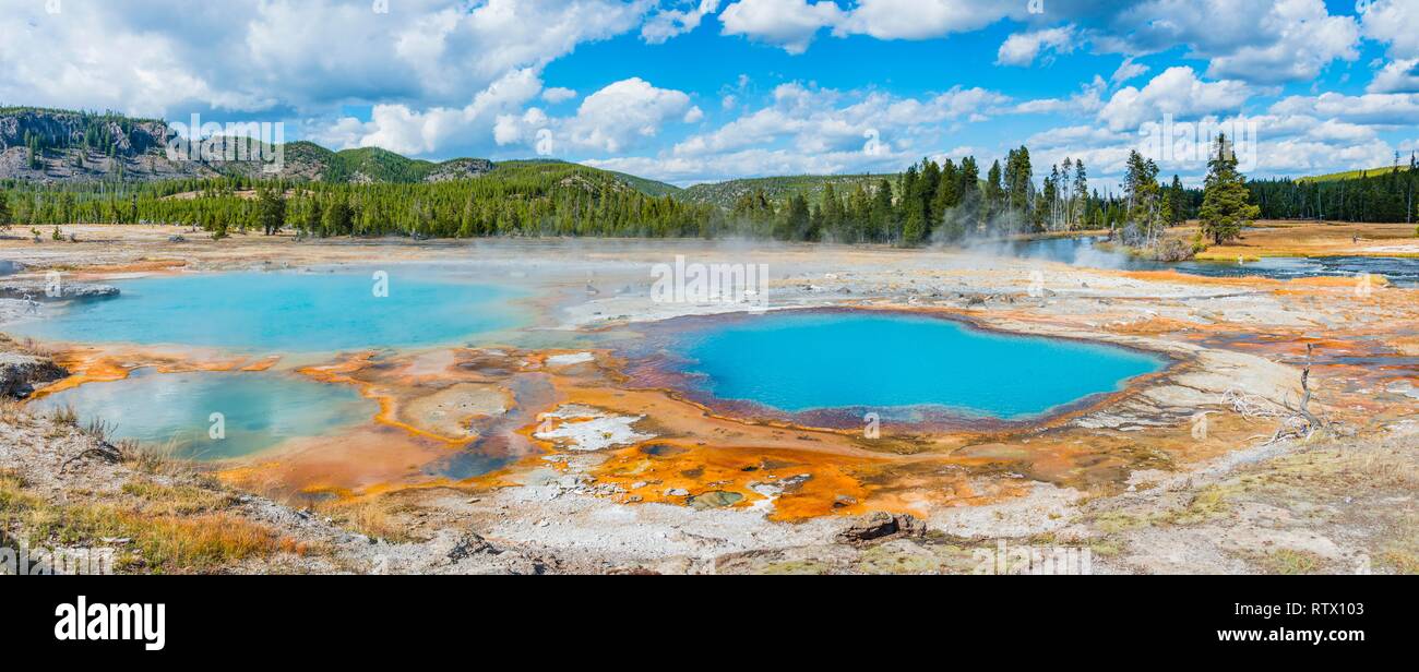 Opale nero piscina, primavera calda, giallo di alghe e di depositi di minerali, Biscuit Basin, il Parco Nazionale di Yellowstone, Wyoming USA Foto Stock
