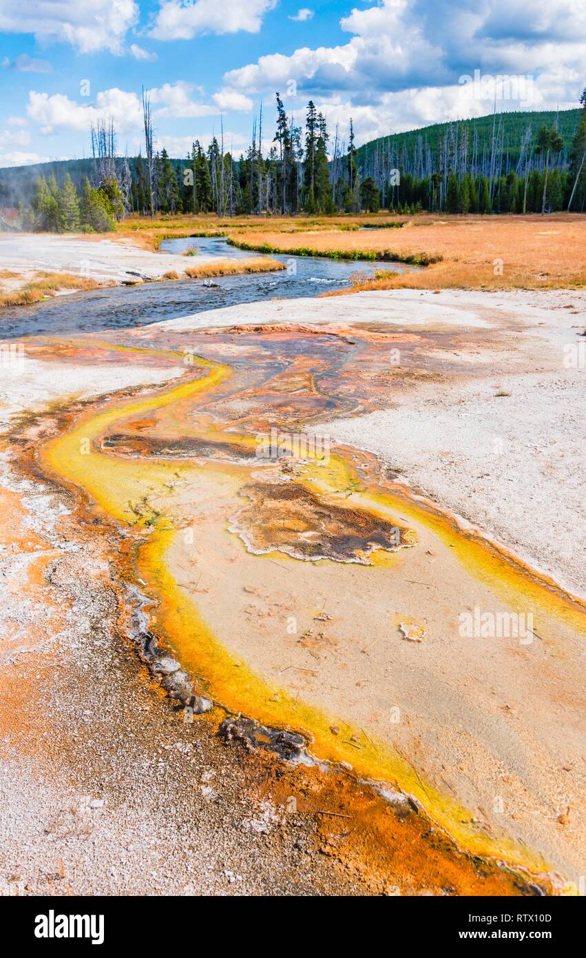 Suolo colorati, sorgenti calde di ferro Spring Creek, nel fiume Nera Bacino di sabbia, il Parco Nazionale di Yellowstone, Wyoming USA Foto Stock