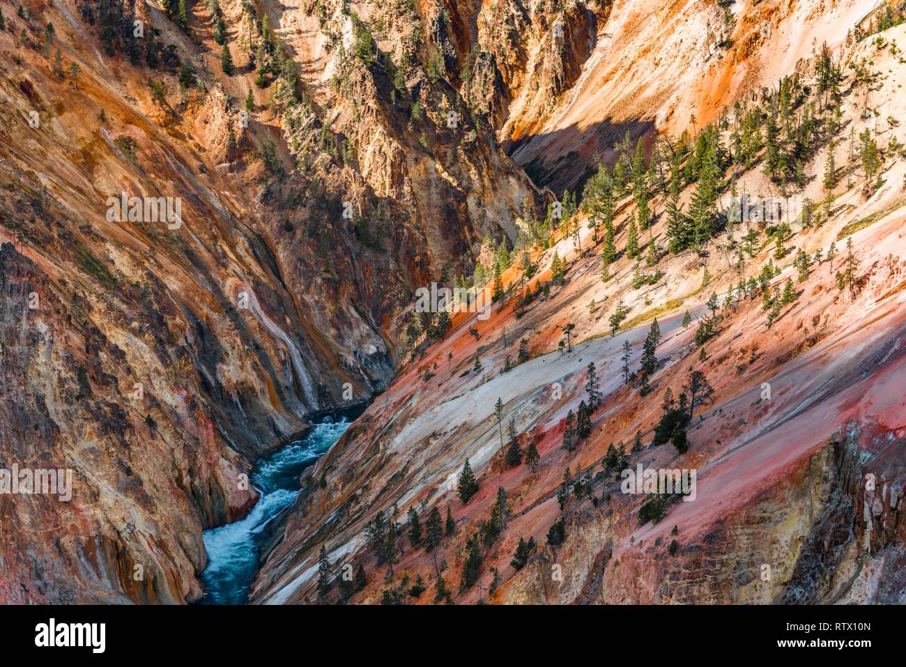 Fiume Yellowstone Fiume scorre attraverso il canyon, il Grand Canyon di Yellowstone, Grand View, il Parco Nazionale di Yellowstone, Wyoming Foto Stock