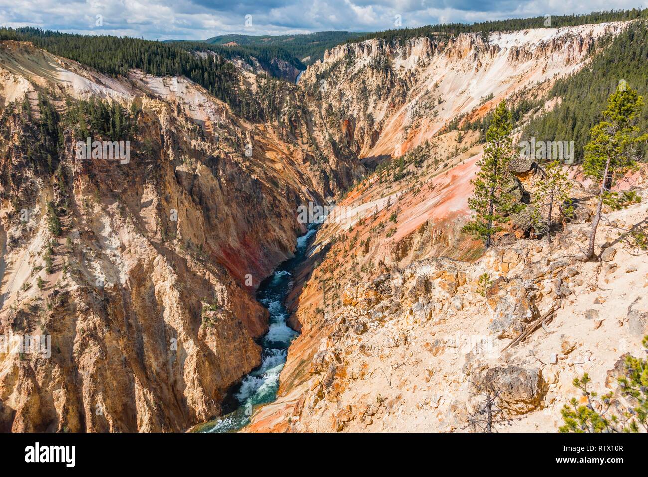 Yellowstone Fiume scorre attraverso la gola, Grand Canyon di Yellowstone, Grand View, il Parco Nazionale di Yellowstone, Wyoming USA Foto Stock