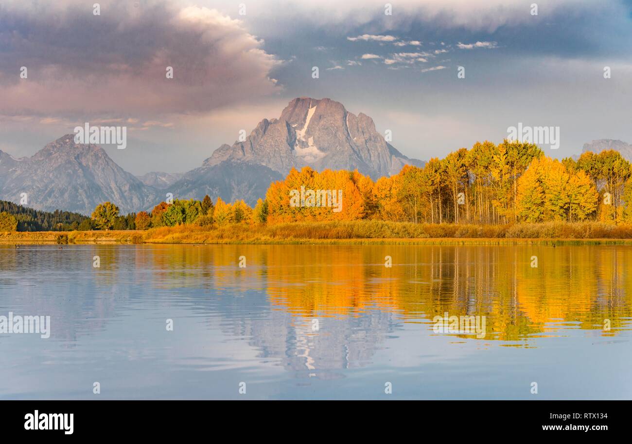 Montare Moran riflessa nel fiume Snake, Atmosfera mattutina a lanca piegare, autunno alberi e Grand Teton Range, Grand Teton National Park Foto Stock