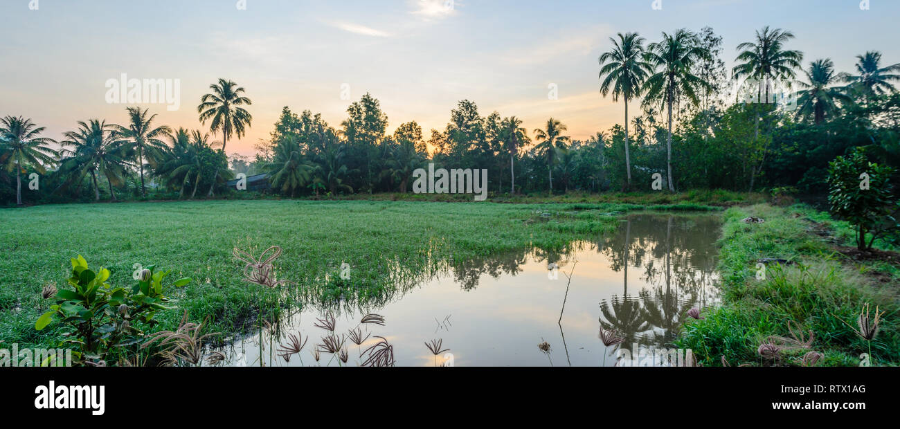 Alba in Chau Thanh, Soc Trang, Sunday‎, ‎March‎ ‎3‎, ‎2019 6:14 AM Foto Stock