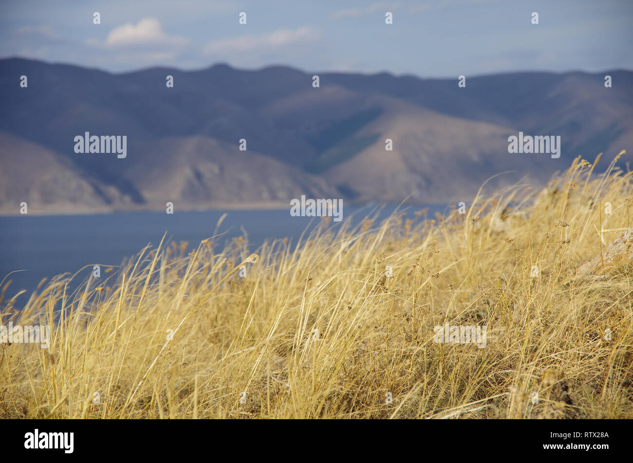 Giallo erba secca. Lago Sevan e la gamma della montagna in background. Vicino Sevanavank (Monastero di Sevan) nella provincia di Gegharkunik di Armenia Foto Stock