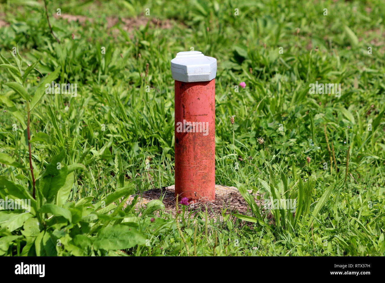 Rosso industriale parzialmente arrugginita tubo rivestito con metallo bianco il tappo sul disco fondamenta in calcestruzzo circondato con intonso erba verde e altre piccole piante Foto Stock