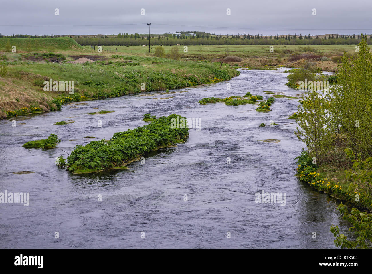Piccolo fiume nella parte sud dell'Islanda. affluente di destra del fiume Ytri-Ranga Foto Stock